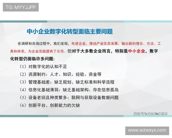 佛山企业家引领创新发展 探索数字化转型新机遇与挑战