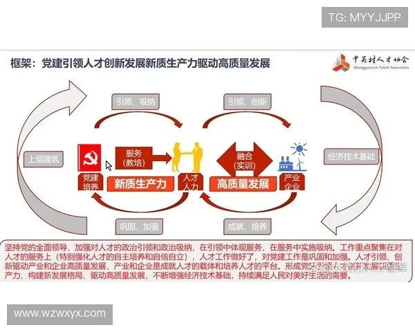 企业家型人才驱动组织创新与可持续高质量增长路径综合研究策略分析